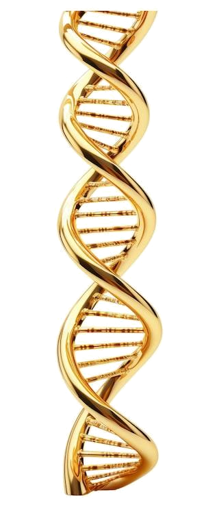DNA Helix